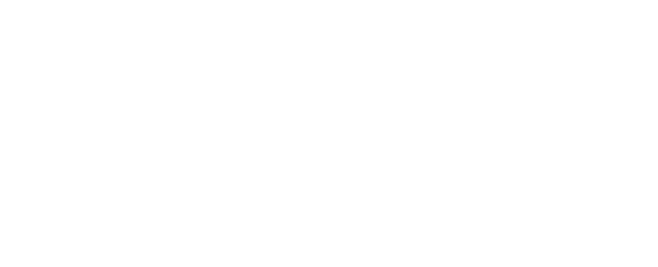 Aleit Events